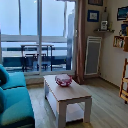 公寓 Batlou Menage Inclus A La Pierre St Martin Pyrenee